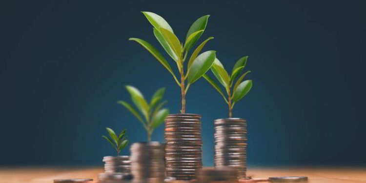 Aberdeen Has Experienced More Than 10,000% Growth in Investment Since 2019.